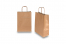 Paper carrier bags with twisted handles - bronze, 220 x 100 x 310 mm, 90 gsm | Bestbuyenvelopes.ie