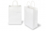 Paper carrier bags with twisted handles - white, 220 x 100 x 310 mm, 90 gsm | Bestbuyenvelopes.ie