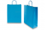 Paper carrier bags with twisted handles - blue, 320 x 120 x 410 mm, 100 gsm | Bestbuyenvelopes.ie