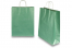 Paper carrier bags with twisted handles - green metallic, 320 x 120 x 410 mm, 100 gsm | Bestbuyenvelopes.ie