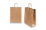 Paper carrier bags with twisted handles - bronze, 260 x 120 x 350 mm, 90 gsm | Bestbuyenvelopes.ie