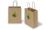 Paper carrier bags with twisted handles - printed example | Bestbuyenvelopes.ie