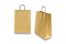 Paper carrier bags with twisted handles - gold, 260 x 120 x 350 mm, 90 gsm | Bestbuyenvelopes.ie