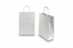 Paper carrier bags with twisted handles - silver, 220 x 100 x 310 mm, 90 gsm | Bestbuyenvelopes.ie