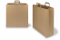 Paper carrier bags with folded handles - brown, 450 x 170 x 480 mm | Bestbuyenvelopes.ie