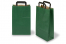 Paper carrier bags with folded handles - green, 220 x 105 x 360 mm | Bestbuyenvelopes.ie